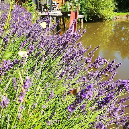 Ferienhaus Offgrid Haus Am Angelteich