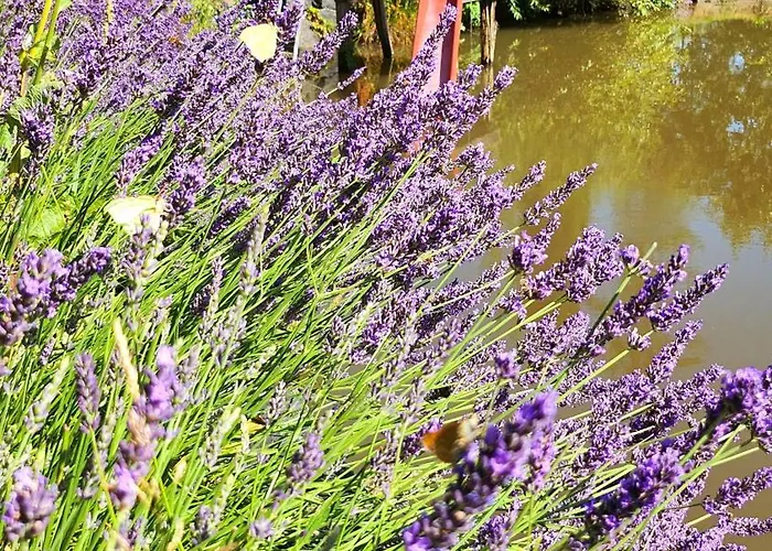 펜션 Offgrid Haus Am Angelteich