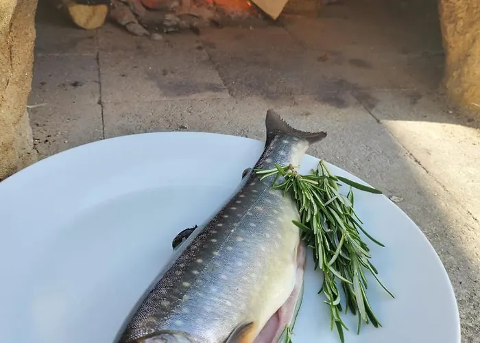 Holiday home Offgrid Haus Am Angelteich *