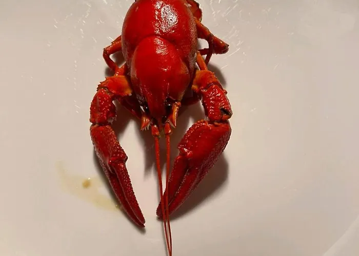 Offgrid Haus Am Angelteich